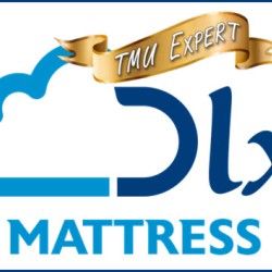 DLX Mattress ~ Team